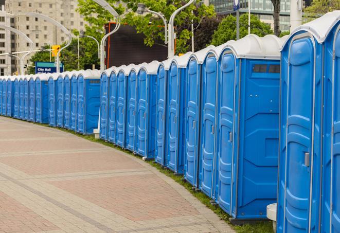 portable restrooms at a camping site, offering campers a comfortable and convenient way to answer nature's call in Carson City NV